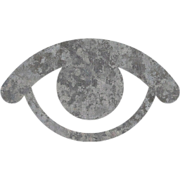visible icon