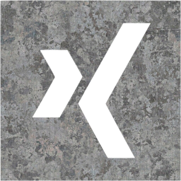 xing 2 icon