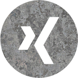 xing 4 icon