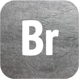 adobe br icon