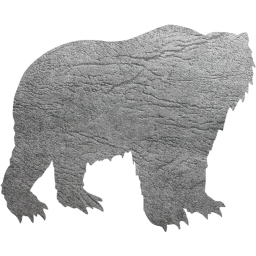 bear 3 icon