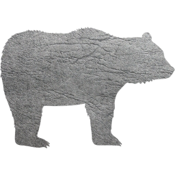 bear 4 icon