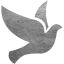 bird 2