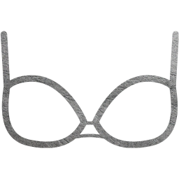 bra 2 icon