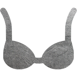 bra icon