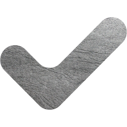 check mark 12 icon