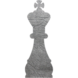 chess 45 icon
