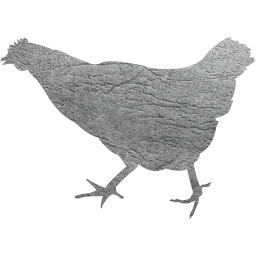 chicken 2 icon