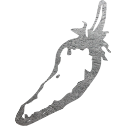 chili pepper 28 icon