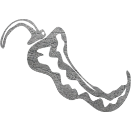 chili pepper 4 icon