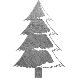 christmas 30 icon