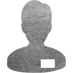 collaborator icon