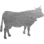 cow 2