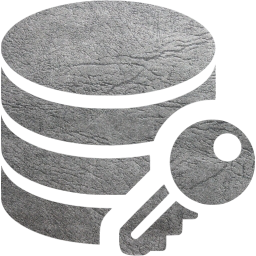 data encryption icon