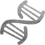 dna helix