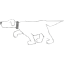 dog 14