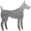 dog 31