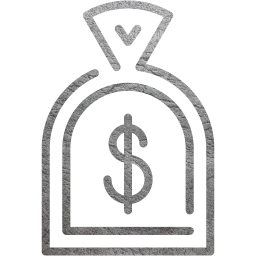 dollar icon