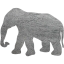 elephant 7