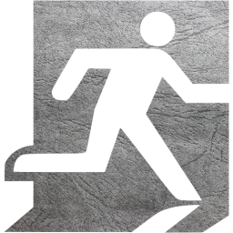 exit icon