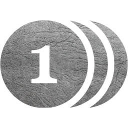 expensive icon