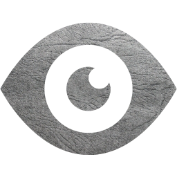 eye 2 icon
