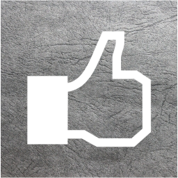 facebook like 2 icon