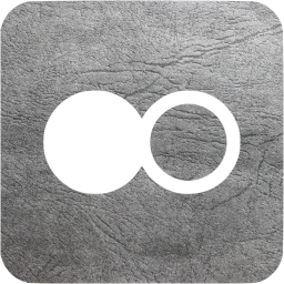 flickr 3 icon