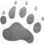 footprints bear