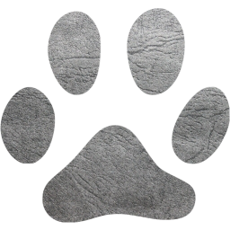 footprints cat icon