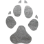 footprints dog