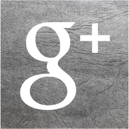 google plus 2 icon