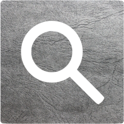 google web search icon