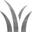 grass