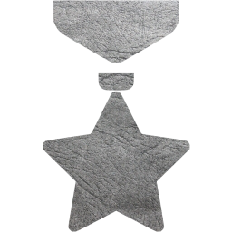 medal icon