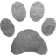 paw