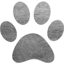 paw icon