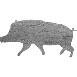 pig 10 icon