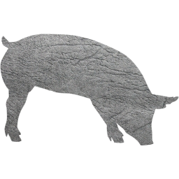 pig 7 icon