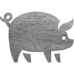 pig icon