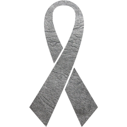 ribbon 15 icon