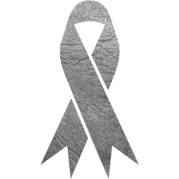 ribbon 2 icon