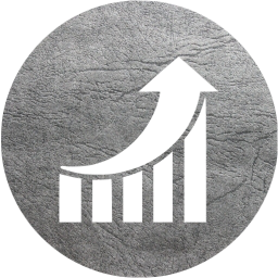 seo performance 2 icon