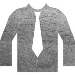 shirt icon