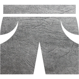 shorts icon