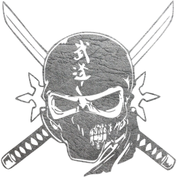 skull 11 icon