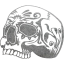 skull 24