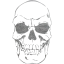 skull 41
