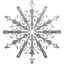 snowflake 10