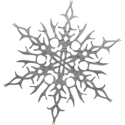 snowflake 14 icon